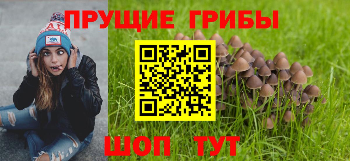 Галлюциногенные грибы Magic Shrooms  Псилоцибиновые грибы прущие грибы  Вход с VPN  Горно-Алтайск 