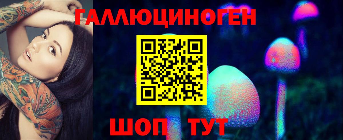Псилоцибиновые грибы мухоморы Горно-Алтайск